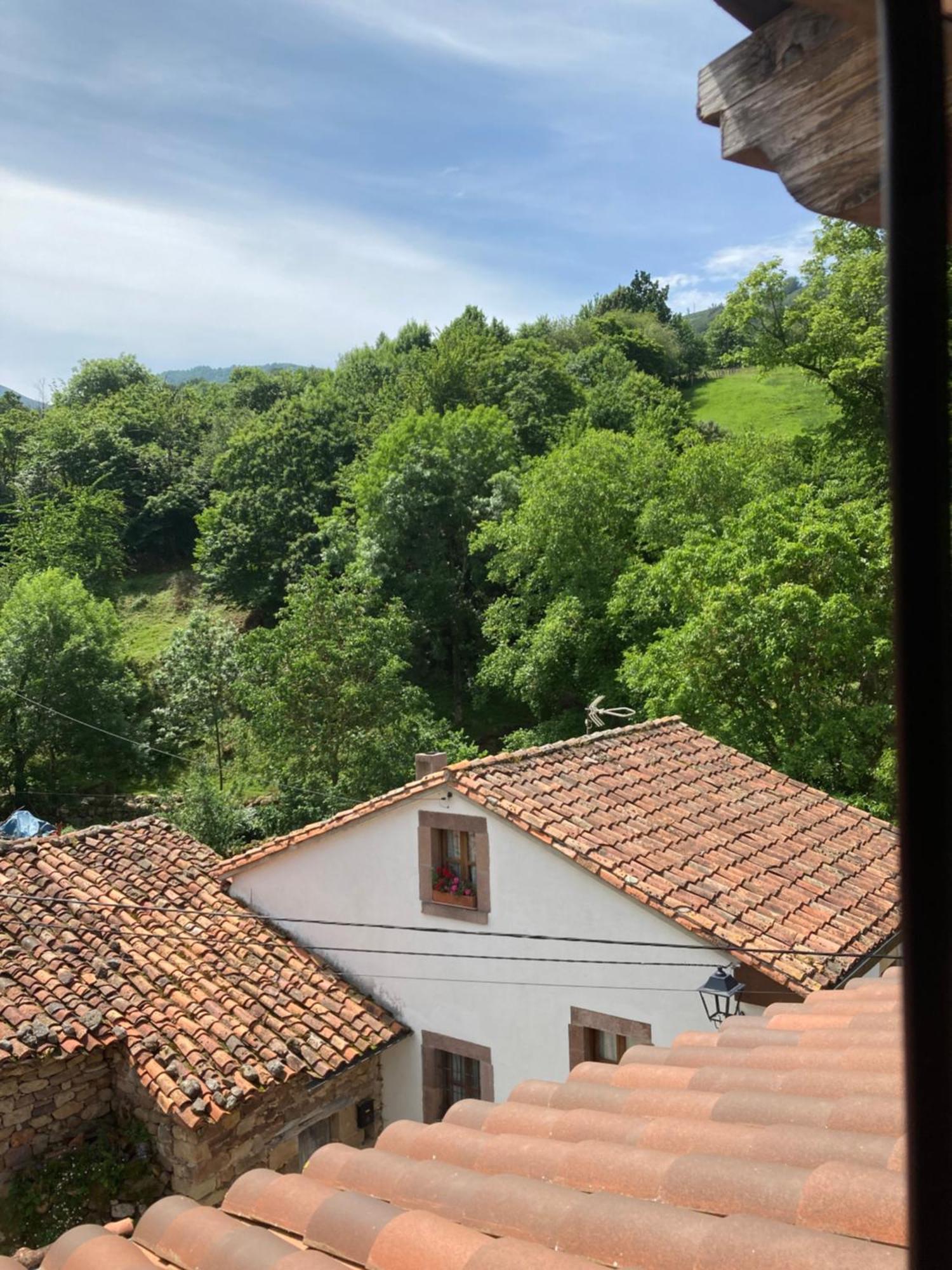 Cicera La Valuisilla, Hotel Rural المظهر الخارجي الصورة