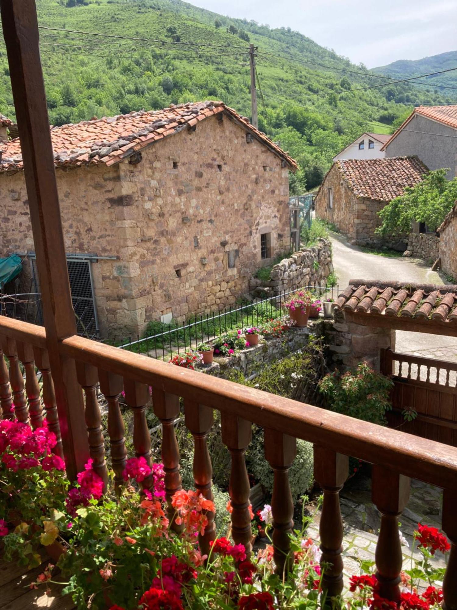 Cicera La Valuisilla, Hotel Rural المظهر الخارجي الصورة