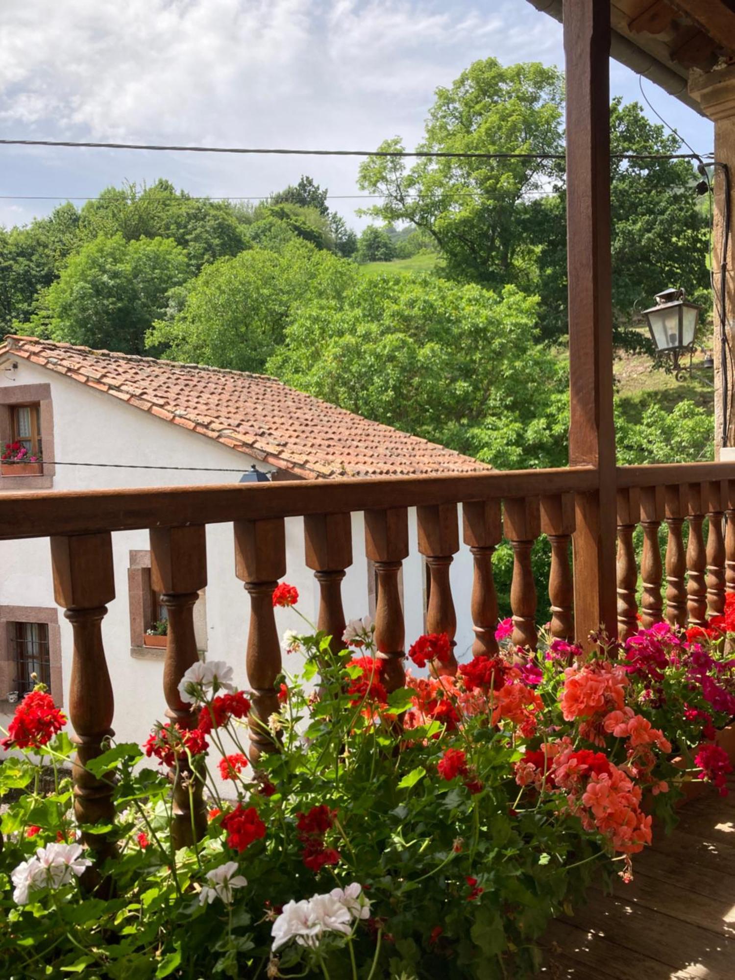 Cicera La Valuisilla, Hotel Rural المظهر الخارجي الصورة