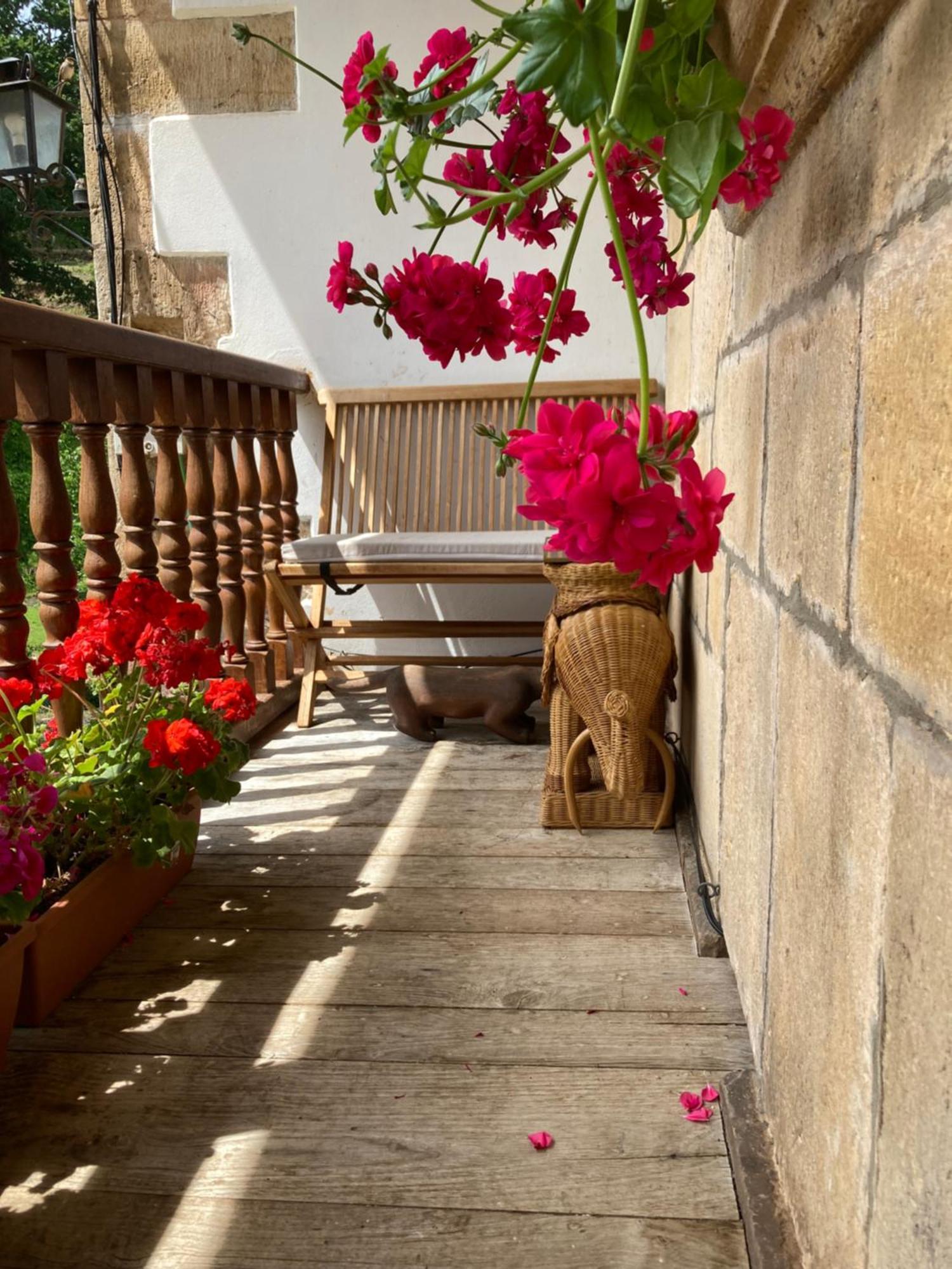 Cicera La Valuisilla, Hotel Rural المظهر الخارجي الصورة