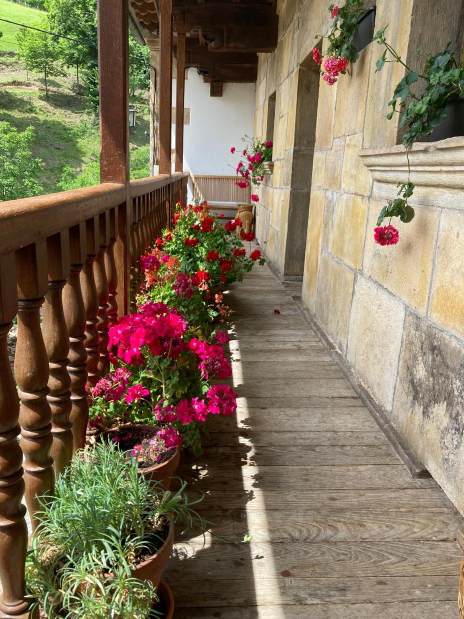 Cicera La Valuisilla, Hotel Rural المظهر الخارجي الصورة